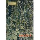 ANGOLA. La Revue Française de l'elite Européenne. 
