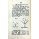 VILLA-MAIOR, Visconde de. - MANUAL DE VITICULTURA PRATICA. 