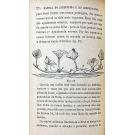 ROSSIGNON, Julio. - MANUAL DO JARDINEIRO E DO ARBORICULTOR ou arte de compôr, dirigir e adornar toda a qualidade de jardins.